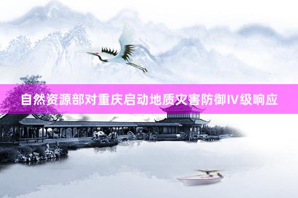 自然资源部对重庆启动地质灾害防御Ⅳ级响应