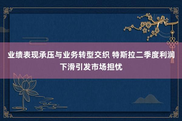 业绩表现承压与业务转型交织 特斯拉二季度利润下滑引发市场担忧