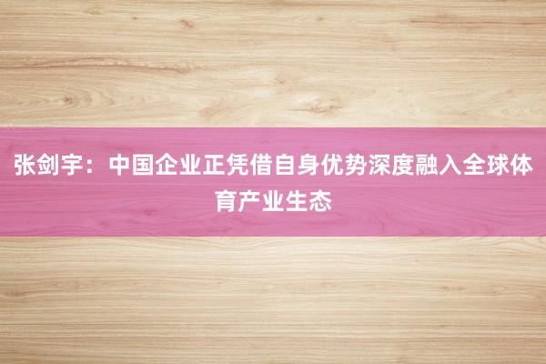 张剑宇：中国企业正凭借自身优势深度融入全球体育产业生态